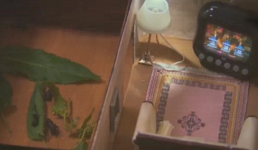 MI High dolls' house items