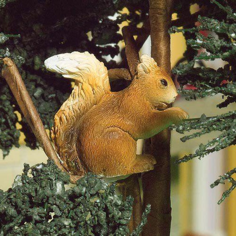 Nuttella, the Squirrel (PR)
