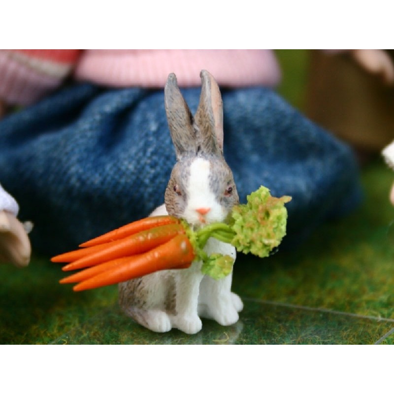 Bunny Rabbit with Carrots