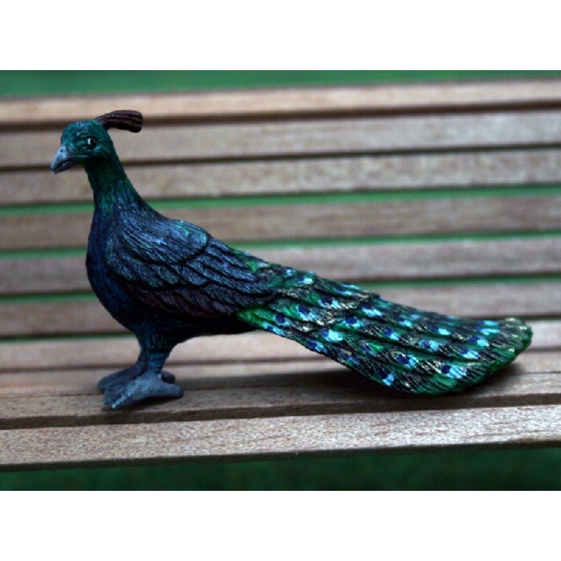 Peacock