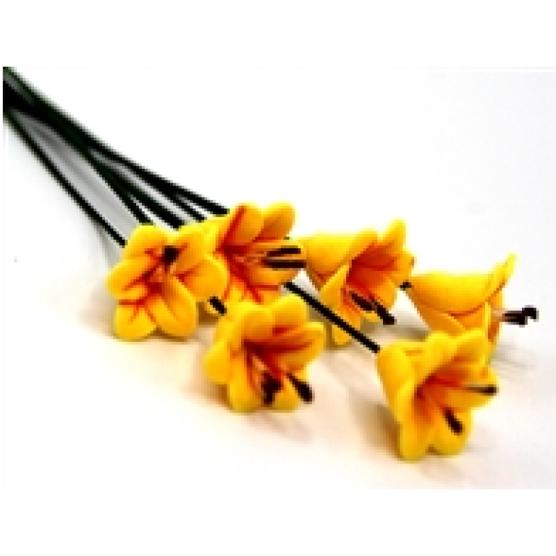 Set of Six Single Lilies