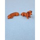 Dachshund Brown Smooth Haired Pk 3 ***Seconds***